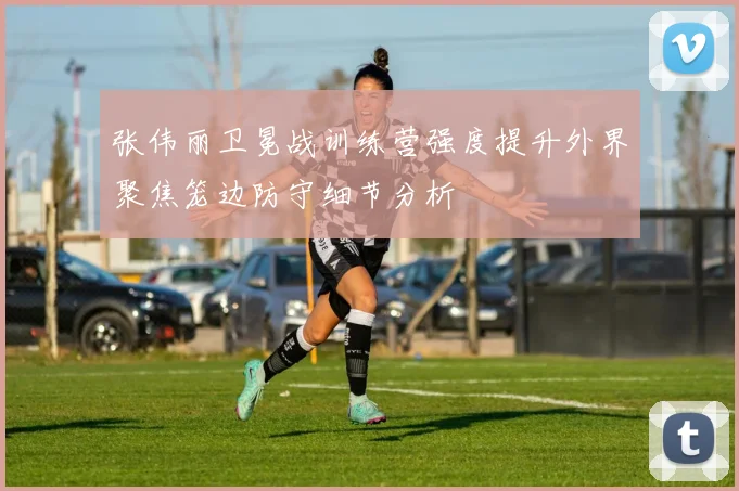 张伟丽卫冕战训练营强度提升外界聚焦笼边防守细节分析